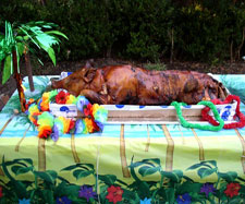 Houston Whole Roasted Pig